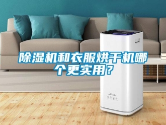 常见问题香蕉视频一区二区机和衣服烘干机哪个更实用？