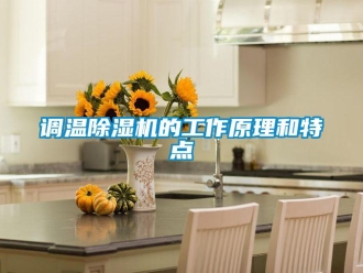 企业香蕉视频APP下载地址调温香蕉视频一区二区机的工作原理和特点