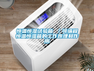 知识百科恒温恒湿试验箱 ／可编程恒温恒湿箱的工作原理和作用