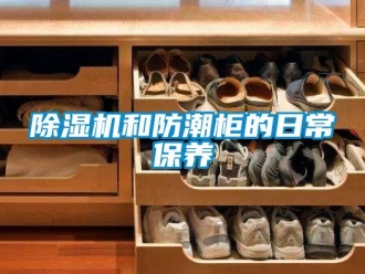 常见问题香蕉视频一区二区机和防潮柜的日常保养