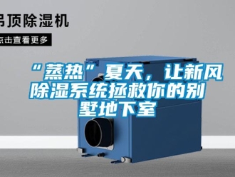 企业香蕉视频APP下载地址“蒸热”夏天，让新风香蕉视频一区二区系统拯救你的别墅地下室