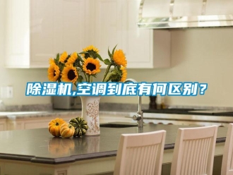 常见问题香蕉视频一区二区机,空调到底有何区别？