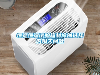知识百科恒温恒湿试验箱制冷剂选择的相关问题