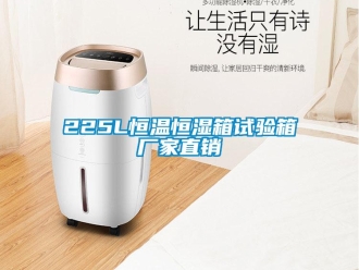 常见问题225L恒温恒湿箱试验箱厂家直销