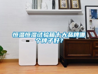 知识百科恒温恒湿试验箱十大品牌哪个牌子好？