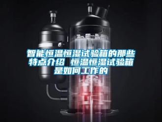 知识百科智能恒温恒湿试验箱的那些特点介绍 恒温恒湿试验箱是如何工作的