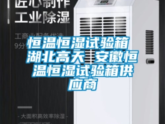 知识百科恒温恒湿试验箱 湖北高天 安徽恒温恒湿试验箱供应商