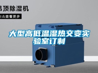 常见问题大型高低温湿热交变实验室订制