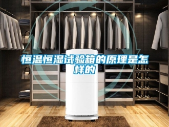 知识百科恒温恒湿试验箱的原理是怎样的