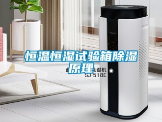 知识百科恒温恒湿试验箱香蕉视频一区二区原理