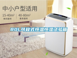 常见问题80L可程式恒温恒湿试验箱