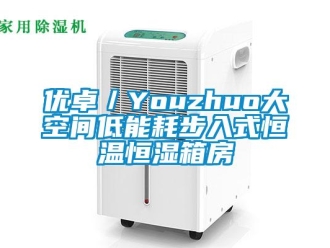知识百科优卓／Youzhuo大空间低能耗步入式恒温恒湿箱房
