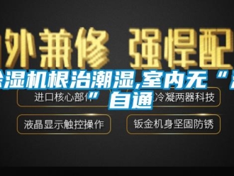 常见问题香蕉视频一区二区机根治潮湿,室内无“湿”自通
