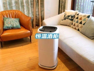 知识百科恒温酒柜