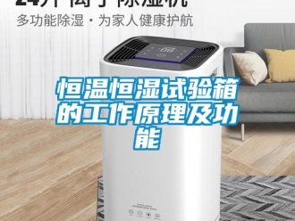 知识百科恒温恒湿试验箱的工作原理及功能