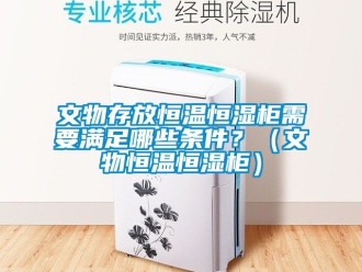 知识百科文物存放恒温恒湿柜需要满足哪些条件？（文物恒温恒湿柜）