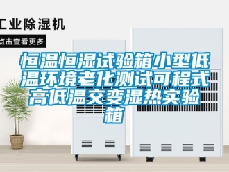知识百科恒温恒湿试验箱小型低温环境老化测试可程式高低温交变湿热实验箱