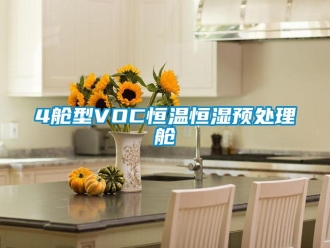 常见问题4舱型VOC恒温恒湿预处理舱