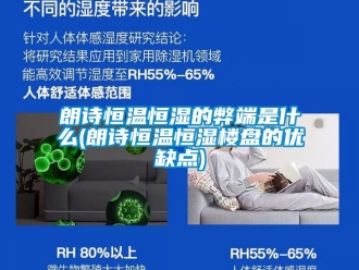 知识百科朗诗恒温恒湿的弊端是什么(朗诗恒温恒湿楼盘的优缺点)