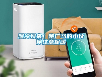 知识百科湿冷到来！跑广马的小伙伴注意保暖