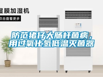 企业香蕉视频APP下载地址防范猪仔大肠杆菌病，用过氧化氢低温灭菌器