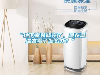 企业香蕉视频APP下载地址“地下室装修完了，现在潮湿发霉了怎么办？”