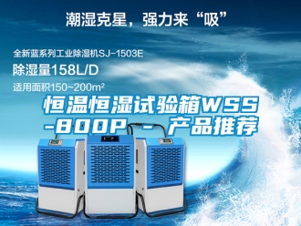 知识百科恒温恒湿试验箱WSS-800P - 产品推荐