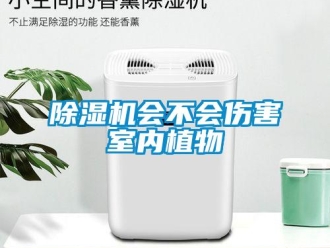 常见问题香蕉视频一区二区机会不会伤害室内植物