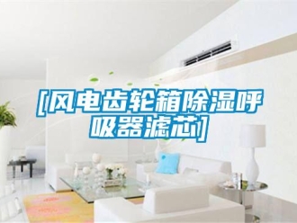 企业香蕉视频APP下载地址[风电齿轮箱香蕉视频一区二区呼吸器滤芯]