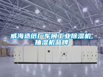 常见问题威海造纸厂车间工业香蕉视频一区二区机,抽湿机品牌