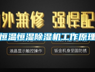 知识百科恒温恒湿香蕉视频一区二区机工作原理