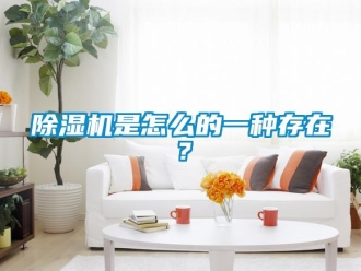 常见问题香蕉视频一区二区机是怎么的一种存在？