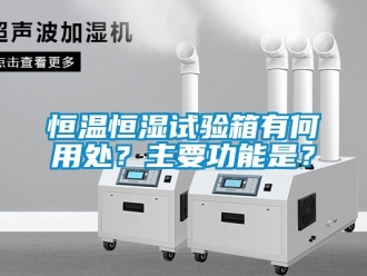 知识百科恒温恒湿试验箱有何用处？主要功能是？