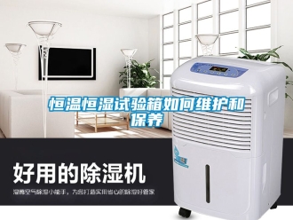 知识百科恒温恒湿试验箱如何维护和保养