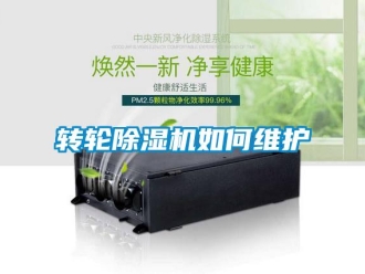 常见问题转轮香蕉视频一区二区机如何维护