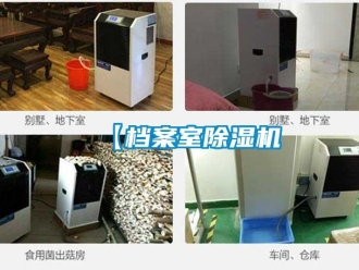 企业香蕉视频APP下载地址【档案室香蕉视频一区二区机