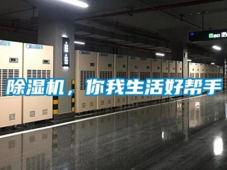 常见问题香蕉视频一区二区机，你我生活好帮手