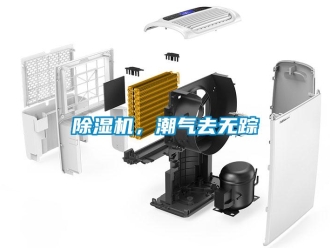 常见问题香蕉视频一区二区机，潮气去无踪