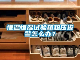 知识百科恒温恒湿试验箱超压报警怎么办？