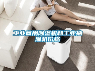 常见问题工业商用香蕉视频一区二区机和工业抽湿机价格