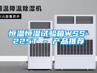 知识百科恒温恒湿试验箱WSS-225T - 产品推荐