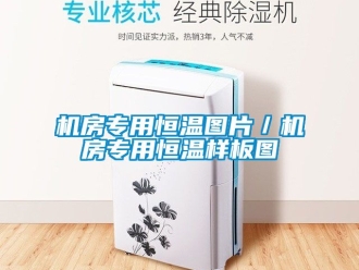 知识百科机房专用恒温图片／机房专用恒温样板图