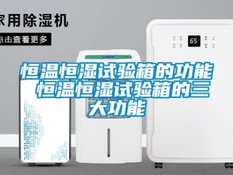 知识百科恒温恒湿试验箱的功能 恒温恒湿试验箱的三大功能
