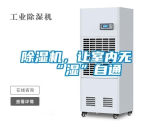 常见问题香蕉视频一区二区机，让室内无“湿”自通